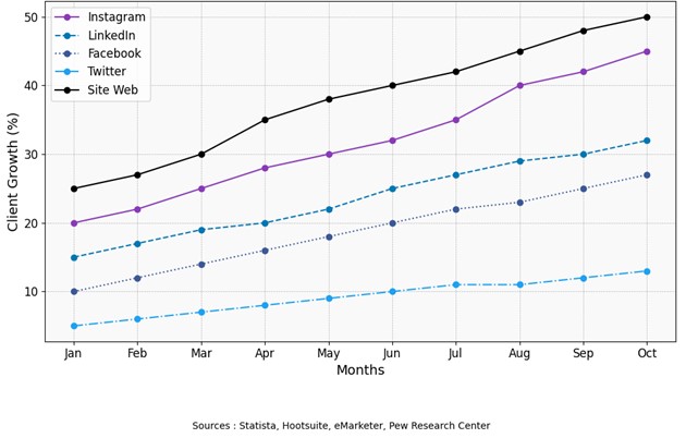 Impact of social media and website creation on client growth 2024